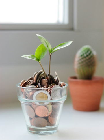green plant in clear glass cup